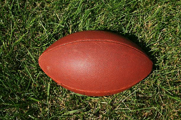 istock Football in Grass 91206083