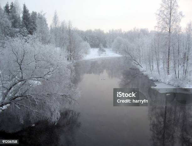 Photo libre de droit de Chute Dun Arbre banque d'images et plus d'images libres de droit de Hiver - Hiver, Laponie finlandaise, Tomber