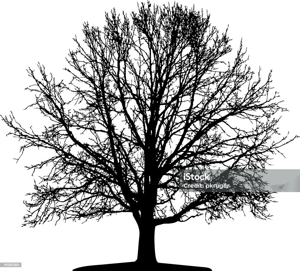 Vektor Baum Isoliert - Lizenzfrei Ast - Pflanzenbestandteil Stock-Illustration