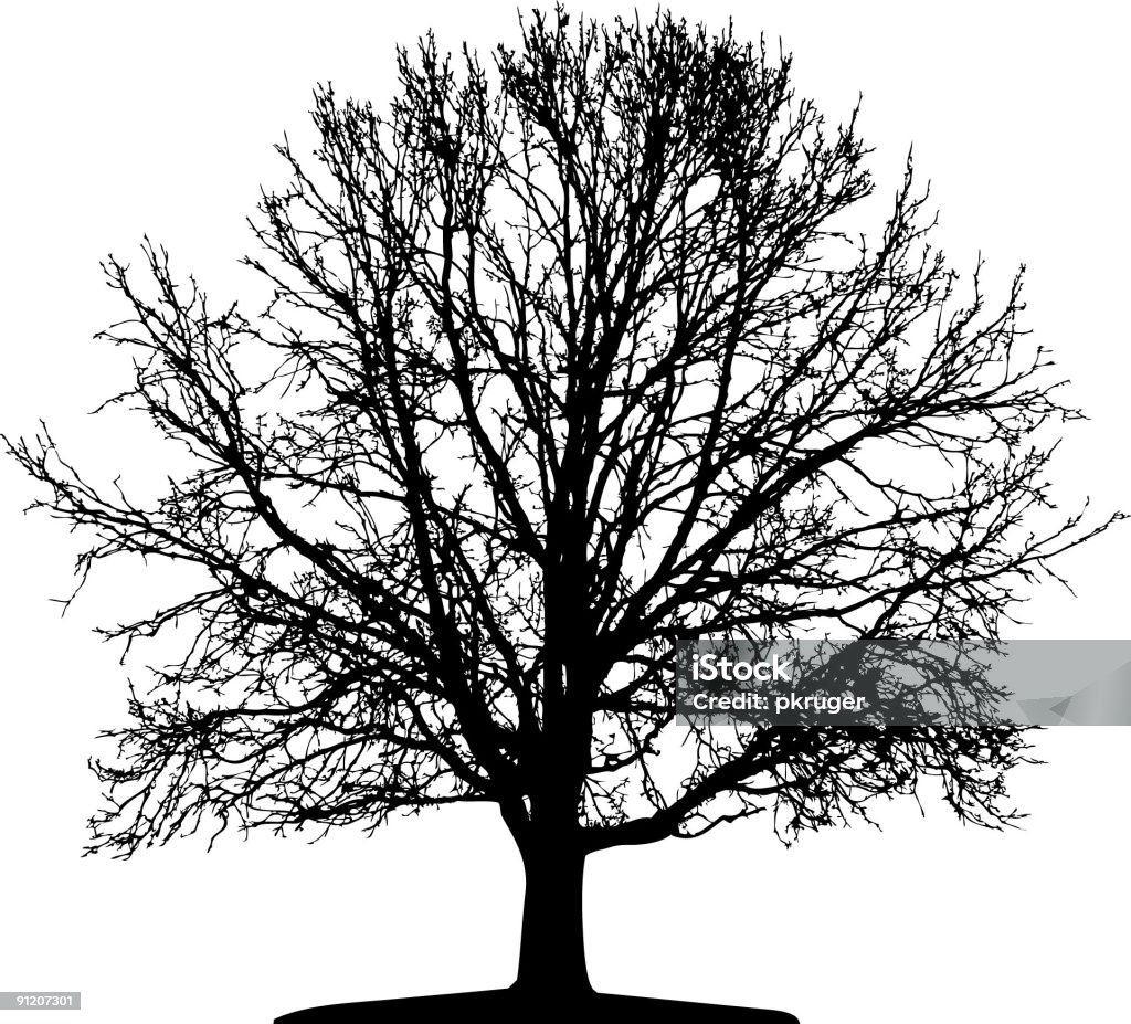 Vector de árbol aislado - Ilustración de stock de Boscaje libre de derechos