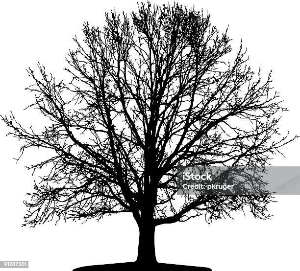 Векторный Дерево Изолированные — стоковая векторная графика и другие изображения на тему Без людей - Без людей, Ветвь - часть растения, Горизонтальный