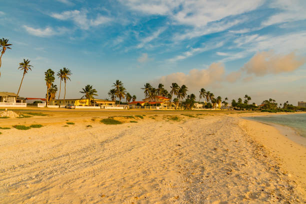 istock panorama of Aruba Caribbean island 912073804