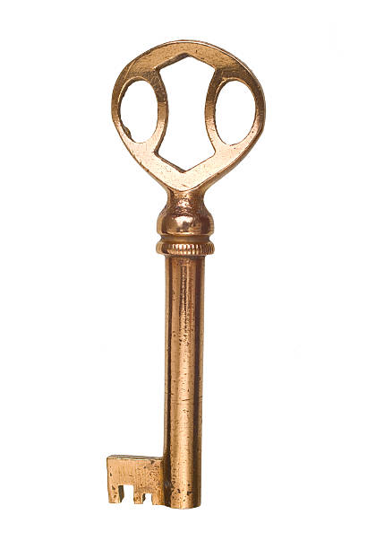 istock Golden Key of Opportunity 91208044