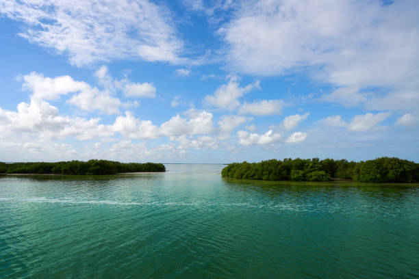 Holbox Yalahau also Conil lagoon in Quintana Roo Mexico