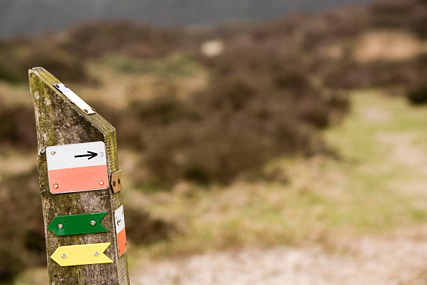 istock wooden signpost indicating different walking routes 91208376