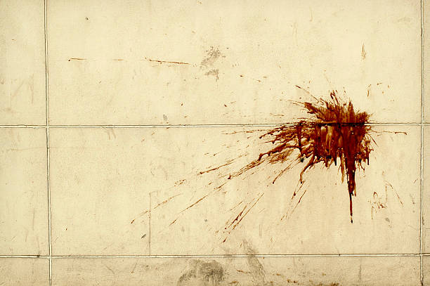 1,200+ Blood Splatter Wall Stock Photos, Pictures & Royalty-Free Images