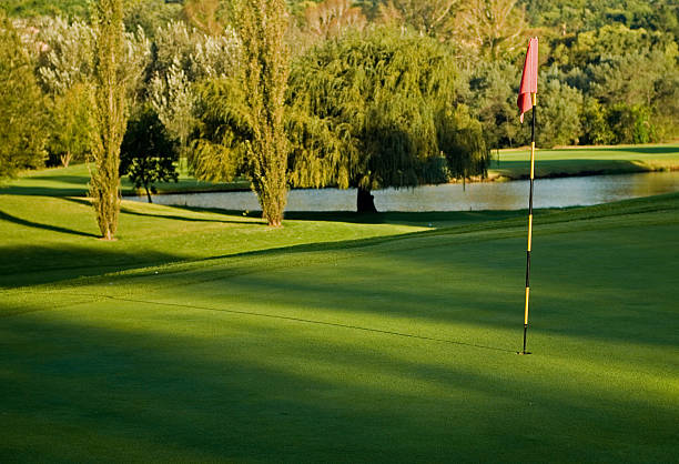 istock Golf green, flag and water hazard 91208666