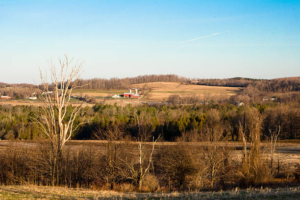 istock Spring Morning on the Farm 91208782