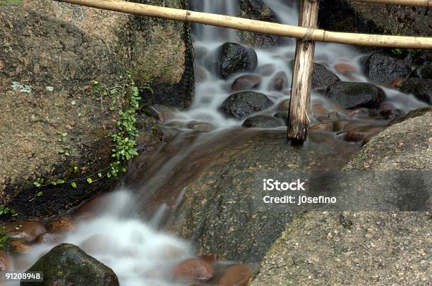 대나무 스트림 강에 대한 스톡 사진 및 기타 이미지 - 강, 균형, 급류-강