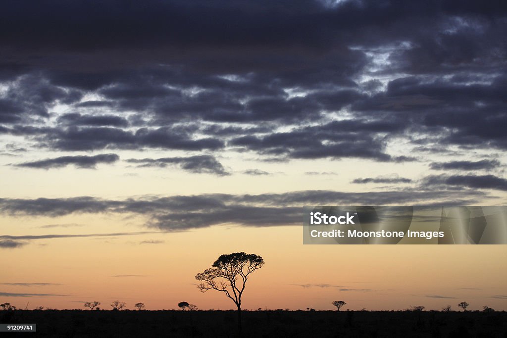 Nascer do sol no parque de Kruger, África do Sul - Royalty-free Amanhecer Foto de stock