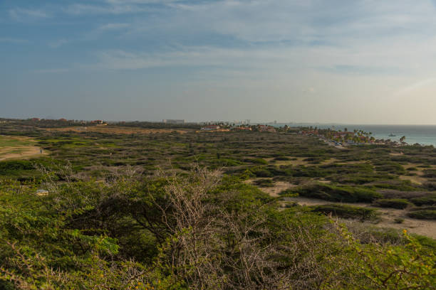 istock panorama of Aruba Caribbean island 912100524
