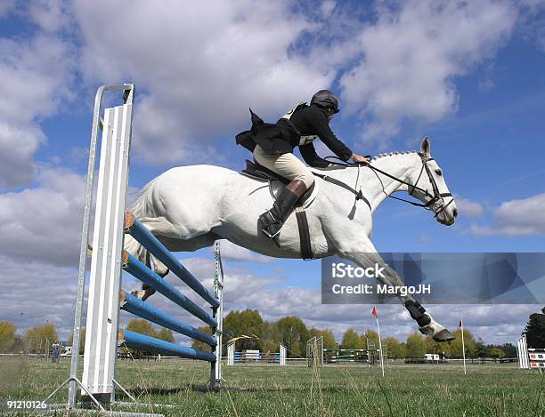 Branco Sobre Azul - Fotografias de stock e mais imagens de Saltar - Saltar, Cavalo branco, Cavalo - Família do Cavalo