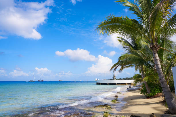 istock Cozumel island beach in Riviera Maya 912101444