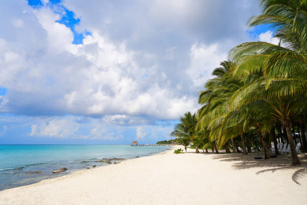 istock Cozumel island beach Riviera Maya Mexico 912102552