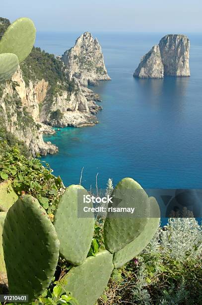 Vista Del Faraglioni Capri Italia Foto de stock y más banco de imágenes de Agua - Agua, Aire libre, Cactus