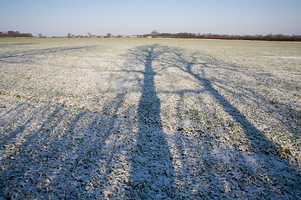faço-o, todos os dias - winter farm vibrant color shadow imagens e fotografias de stock