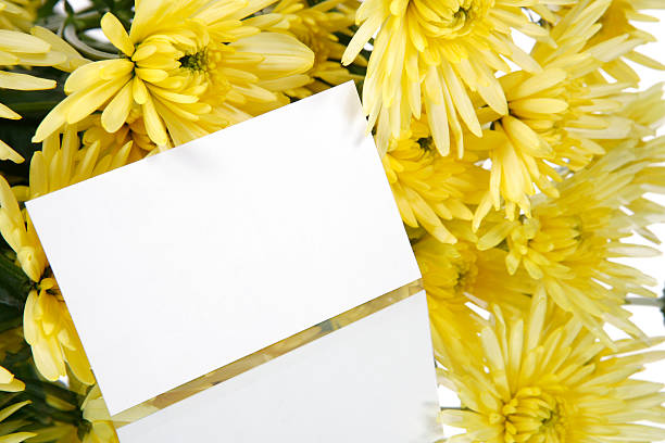노란색 꽃 및 기프트 카드 스톡 사진