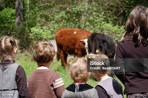 Guarda Le Mucche - Fotografie stock e altre immagini di Giocare - Giocare, Ambientazione esterna, Amicizia