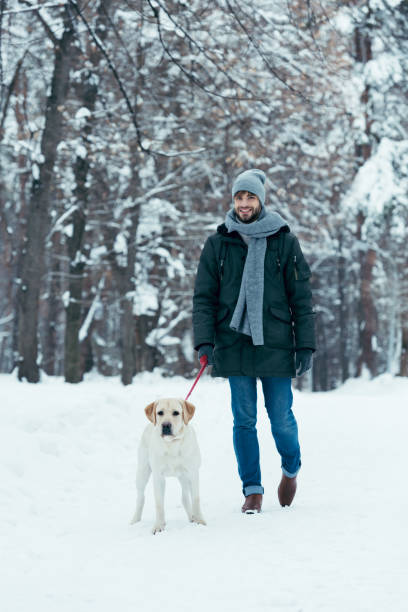 istock young man walking with dog on leash in winter park 912109432