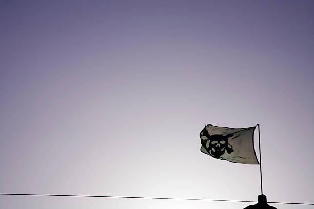 black pirate flag