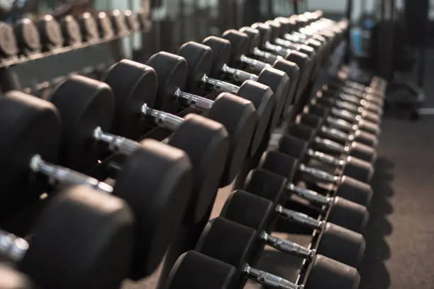 Photo of Dumbbells on Stand in Gym