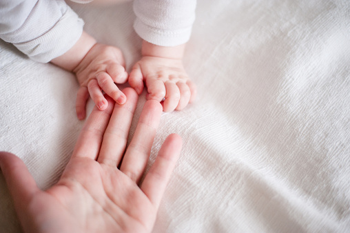 hands of a newborn baby in the mother's fingers on white background