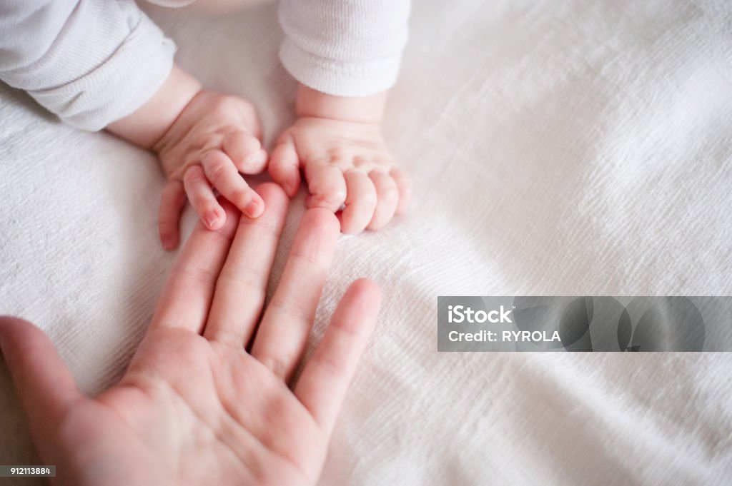 hands of a newborn baby in the mother's fingers hands of a newborn baby in the mother's fingers on white background Baby - Human Age Stock Photo