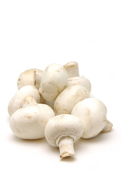 istock Close up of button mushrooms 91211591
