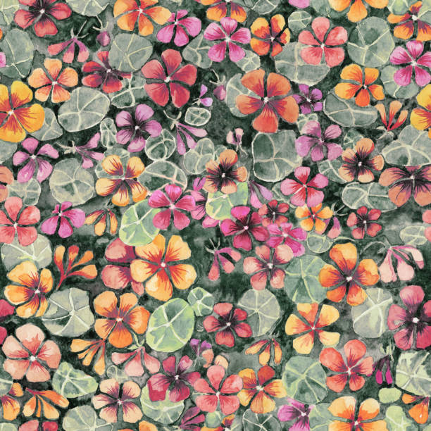 istock Nasturtium flowers with leaves in subdued colors. Seamless aged pattern. Watercolor painting. Hand drawn illustration. 912120544