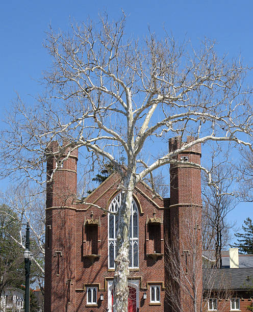 Church with Tree stock photo