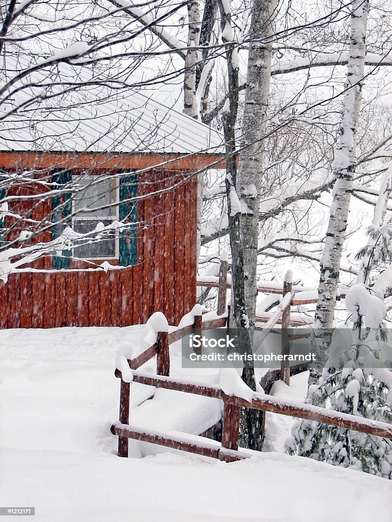 雪で覆われたレイクサイドキャビンに雪と風 - カラー画像のロイヤリティフリーストックフォト