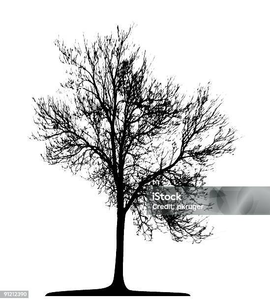 Vector Tree Isolated Stock Illustration - Download Image Now - Birch Tree, Black Color, Branch - Plant Part