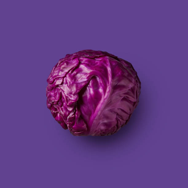 istock purple cabbage isolated on purple background 912126186