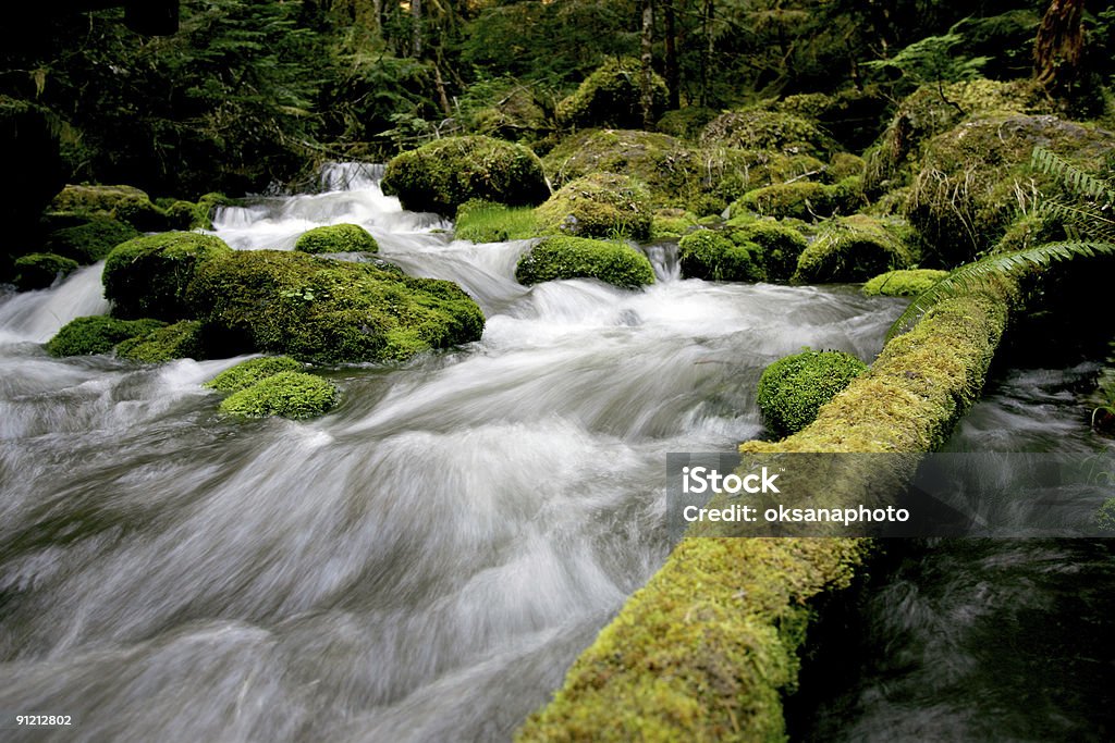 Wild creek - Lizenzfrei Bach Stock-Foto
