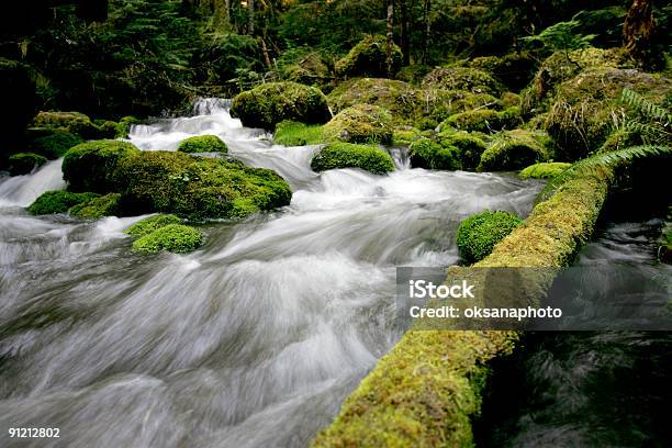 Wild Creek Foto de stock y más banco de imágenes de Agua - Agua, Aire libre, Aislado