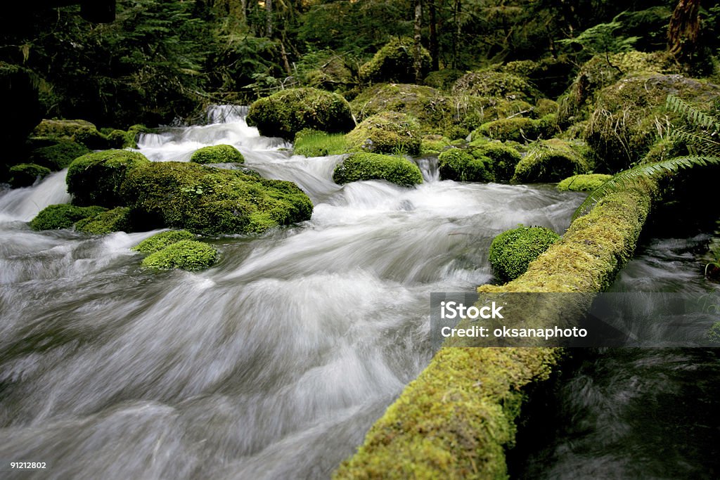 Wild creek - Foto de stock de Bem-estar royalty-free