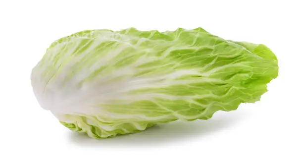 Fresh sugarloaf lettuce isolated on white background