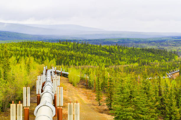 Pipeline in green landscape