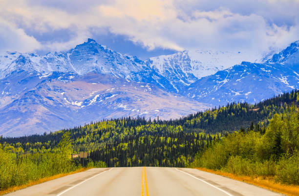 idylle de carte postale alaska - scenics denali national park alaska usa photos et images de collection