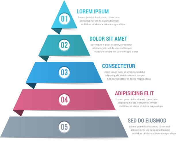 피라미드 인포 그래픽 - pyramidal cell stock illustrations