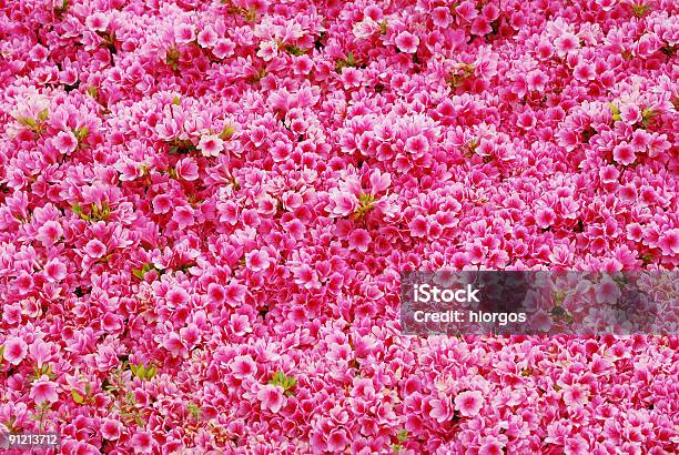 Кровать Цветы Фон — стоковые фотографии и другие картинки Абстрактный - Абстрактный, Без людей, Ботаника