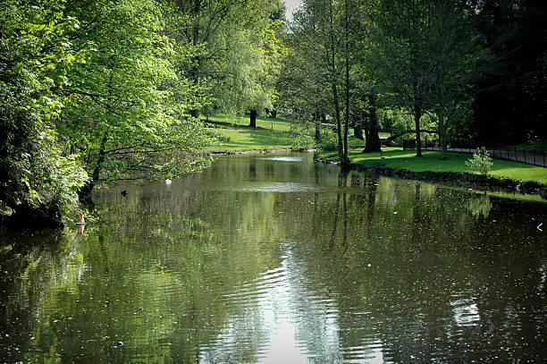 istock Lake in the park 91213905