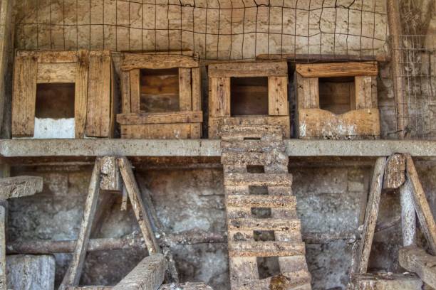 istock Home made boxes for laying eggs, a village farm in Bulgaria 912139100