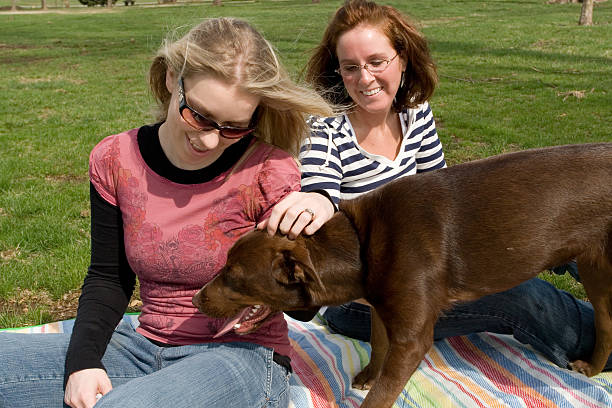 istock friends at the park 91214051
