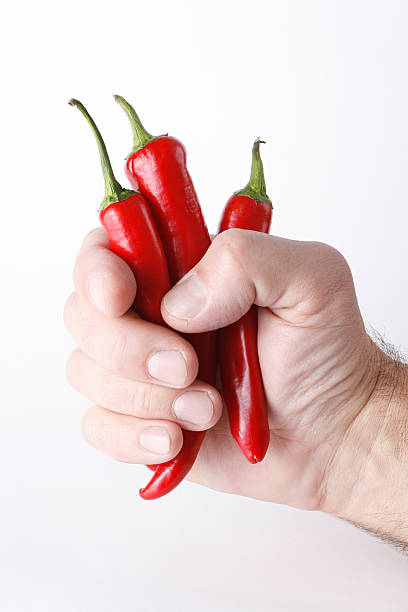 Hot peppers in hand stock photo