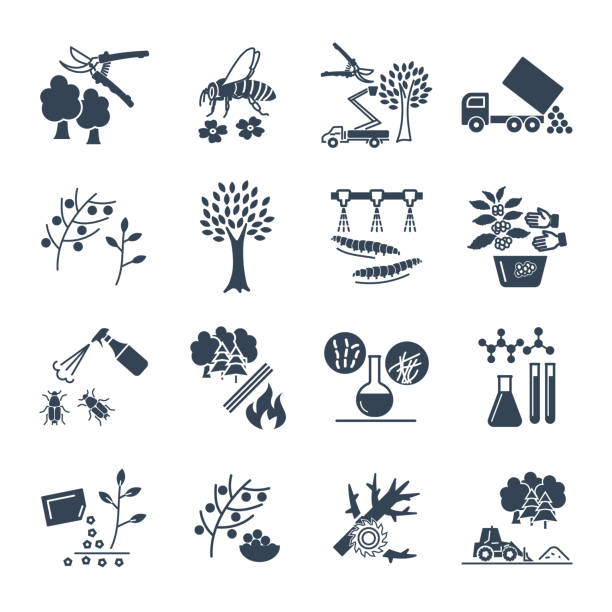illustrazioni stock, clip art, cartoni animati e icone di tendenza di set di icone nere giardinaggio, processo di produzione agricola - insecticide organic sign vegetable garden