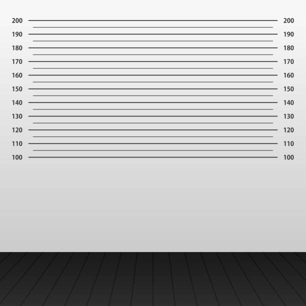 ilustrações de stock, clip art, desenhos animados e ícones de criminal mug shot line. police mugshot add a photo. blank criminal police lineup with centimeter scale for photograph - office tool flash
