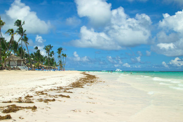 beach in punta cana, dominican republic. bright colors of the - saana imagens e fotografias de stock