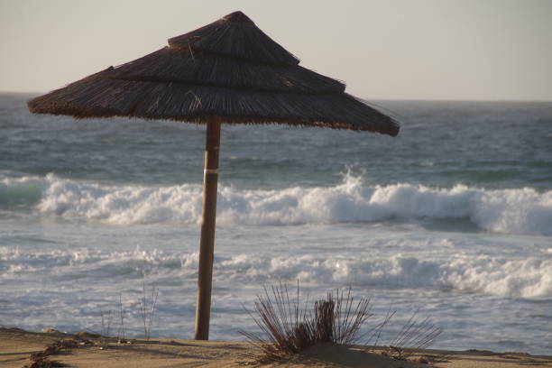 istock parasol on a Corsican beach 912146166