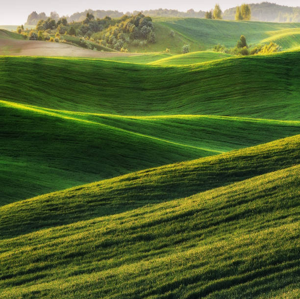 istock spring field. picturesque hilly field. agricultural field in spring 912146574